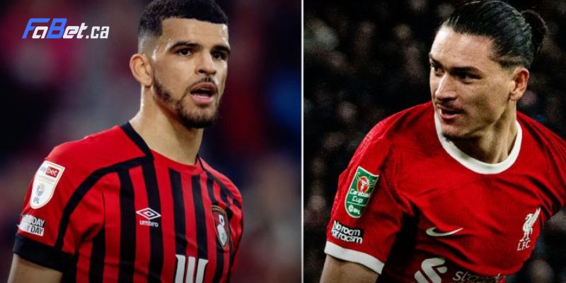 Soi kèo nhà cái Bournemouth vs Liverpool tại Fabet.ca