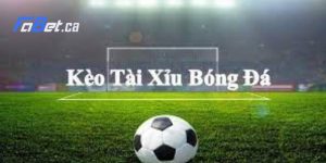 Thông Tin Chi Tiết Từ A -Z Về Kèo Tài Xỉu